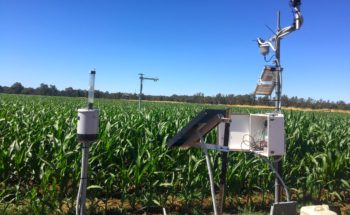Maize_Echuca_Groundstations