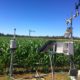 Maize_Echuca_Groundstations