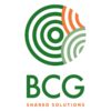 BCG square Logo