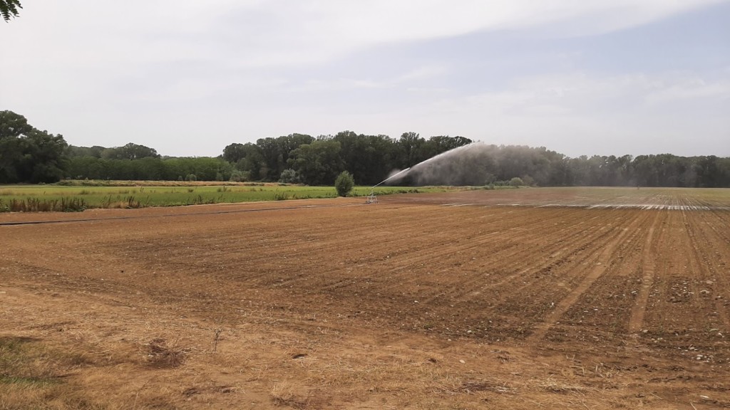 Precision-irrigation-COALA-project